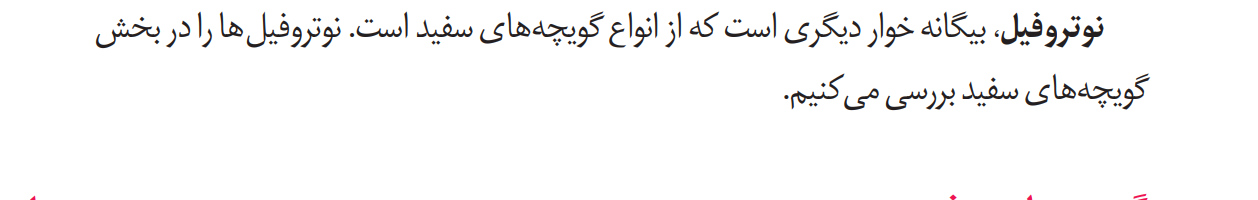 Screenshot (13).png