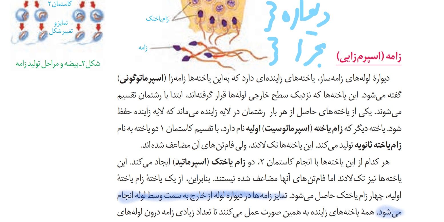 Screenshot (16)_LI.jpg