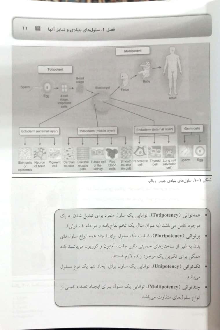 CamScanner 03-08-2022 20.45_1.jpg
