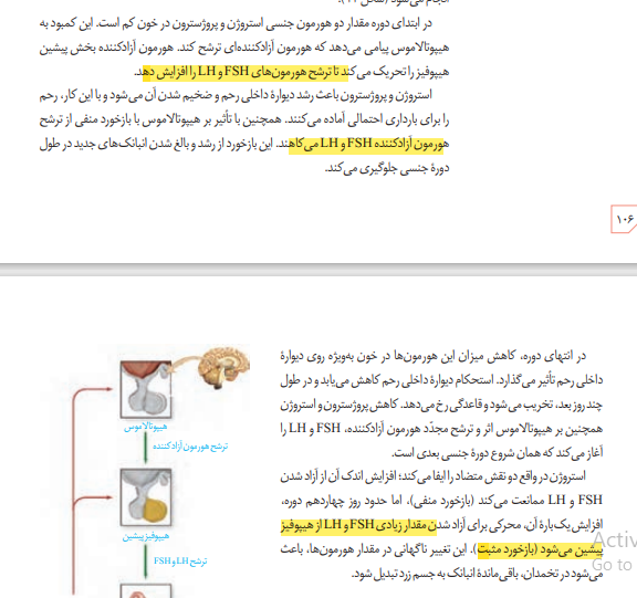 25eed32e-f2c5-4ad9-9939-64643bd596c4-image.png