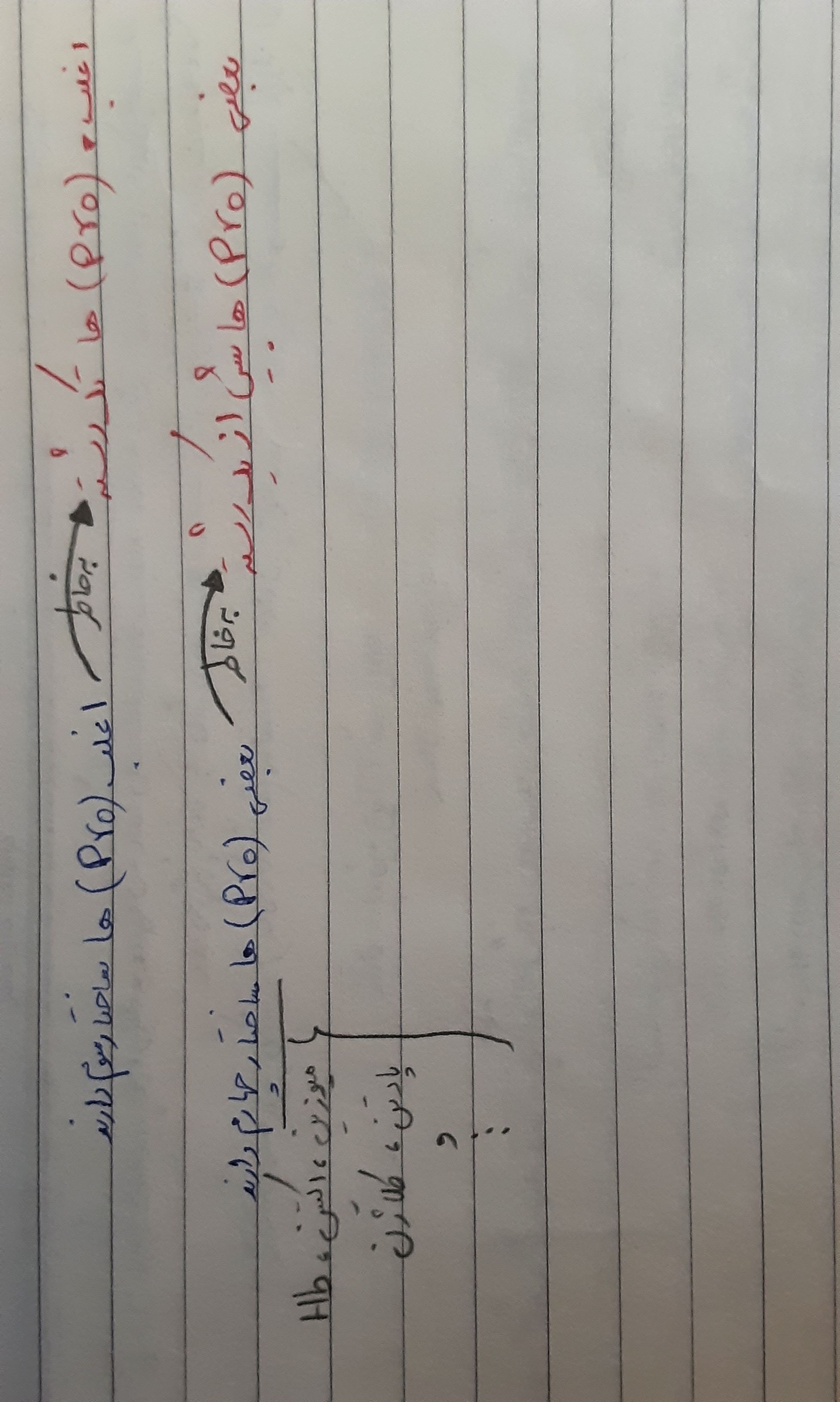 JPEG_۲۰۲۲۰۳۱۳_۱۱۱۰۵۵_1013243434609908369.jpg