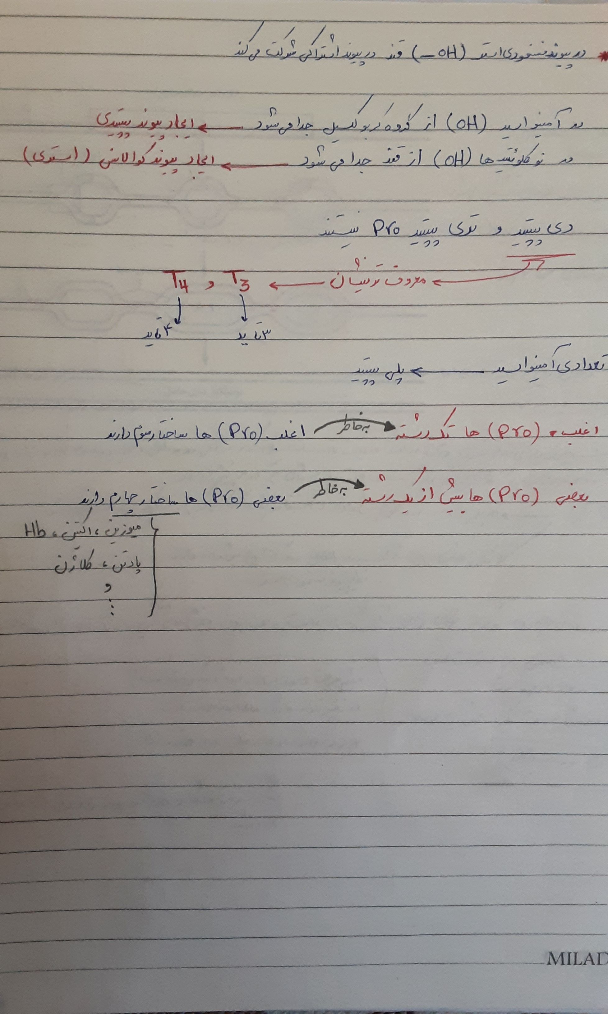 JPEG_۲۰۲۲۰۳۱۳_۱۱۳۷۲۸_1056632380142231534.jpg