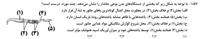 ملخ.png