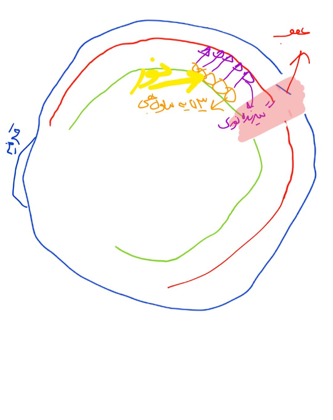 Screenshot_۲۰۲۲۰۳۲۱-۲۳۱۱۲۳_Google.jpg
