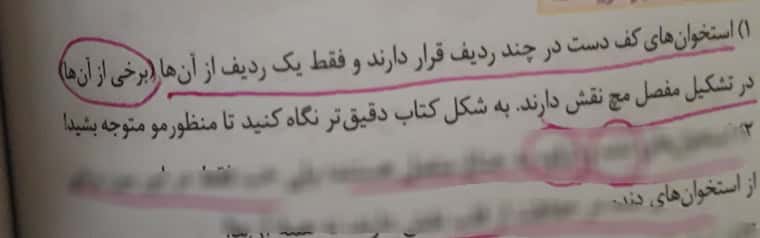 ۲۰۲۲۰۳۲۲_۱۸۳۳۲۹.jpg
