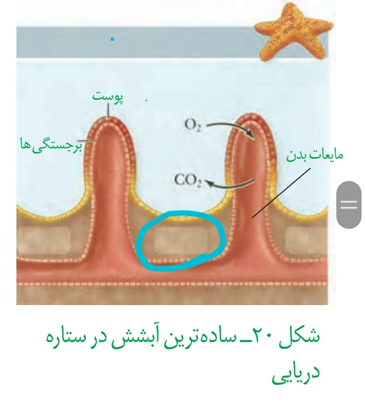 01e75632-574d-42b5-8e4f-e07ba3bee2a7-image.png