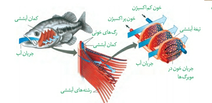 433ed0ba-b5fe-42e1-98e5-1b2d84fa61a9-image.png