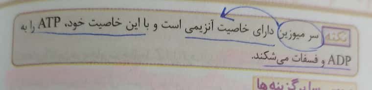 ۲۰۲۲۰۴۰۱_۱۴۵۵۳۱.jpg