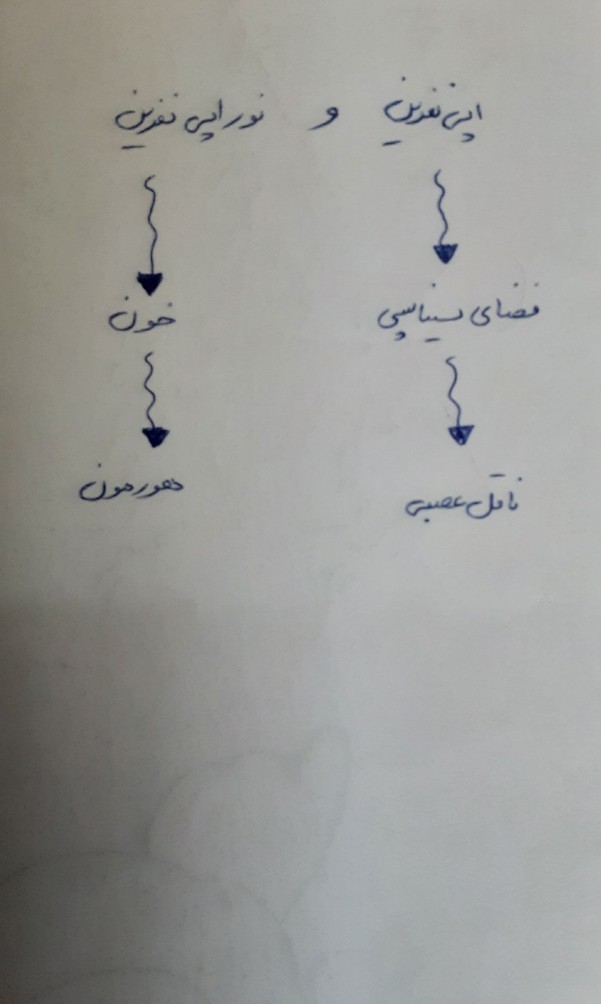 JPEG_۲۰۲۲۰۴۰۱_۱۷۴۶۵۴_3600864566111530694.jpg