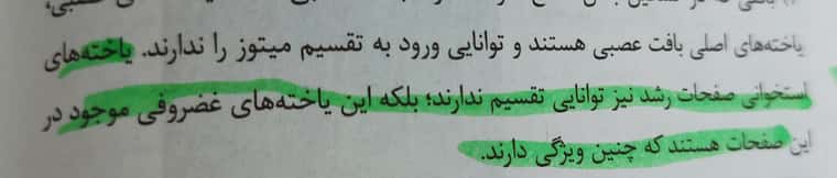 ۲۰۲۲۰۴۰۱_۱۸۳۳۱۵.jpg