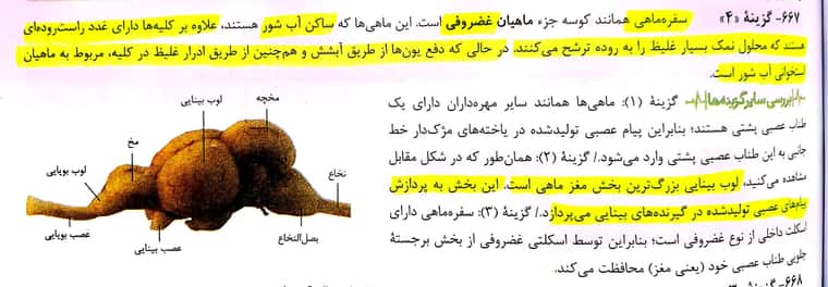 CamScanner 05-14-2022 11.12_2.jpg
