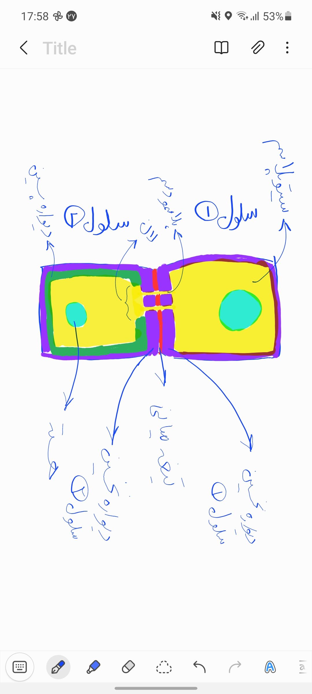 Screenshot_20220517-175814_Samsung Notes.jpg