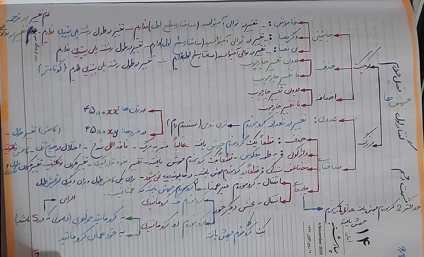 ۲۰۲۲۰۵۱۸_۲۲۱۵۵۹.jpg