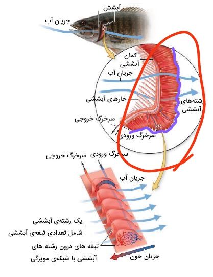 IMG_۲۰۲۲۰۶۰۸_۱۹۰۵۵۹.jpg