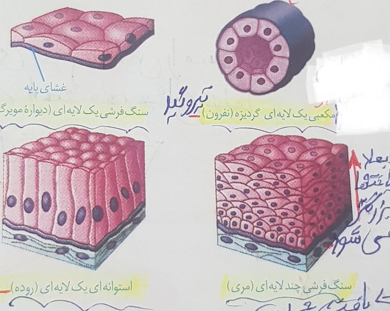 ۲۰۲۲۰۶۲۵_۰۹۵۶۵۱.jpg