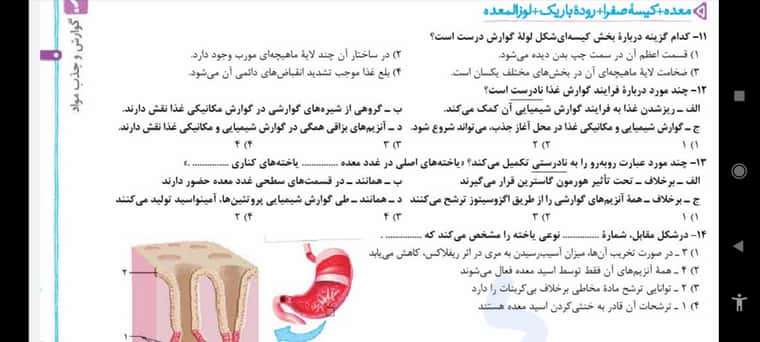Screenshot_۲۰۲۲-۰۷-۲۲-۰۷-۳۳-۴۹-۸۹۲_com.google.android.apps.docs.jpg