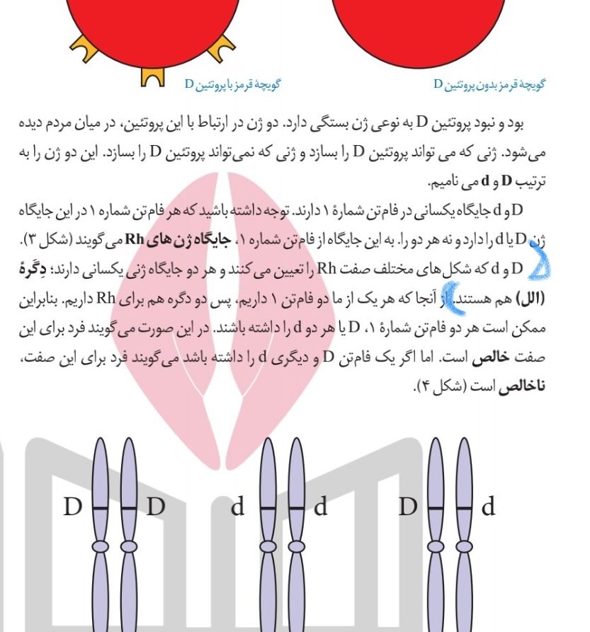Screenshot_20220818-114026_CamScanner.jpg