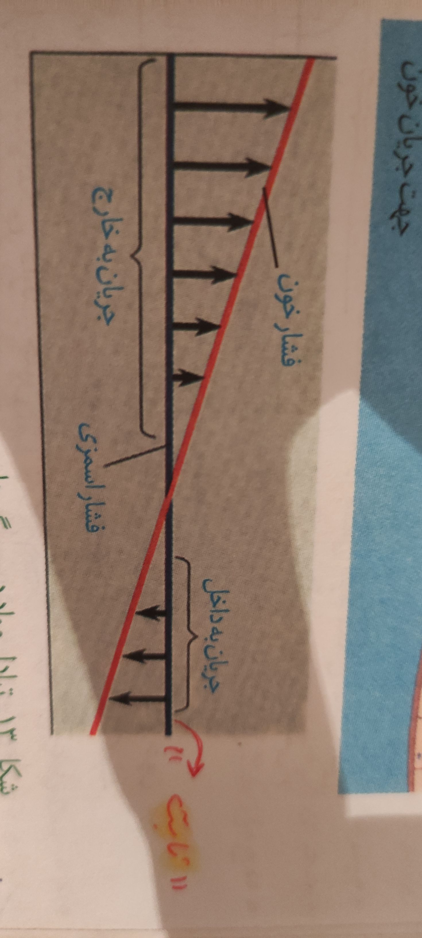 JPEG_۲۰۲۲۰۸۲۵_۲۳۱۴۲۱_2984848841437693007.jpg
