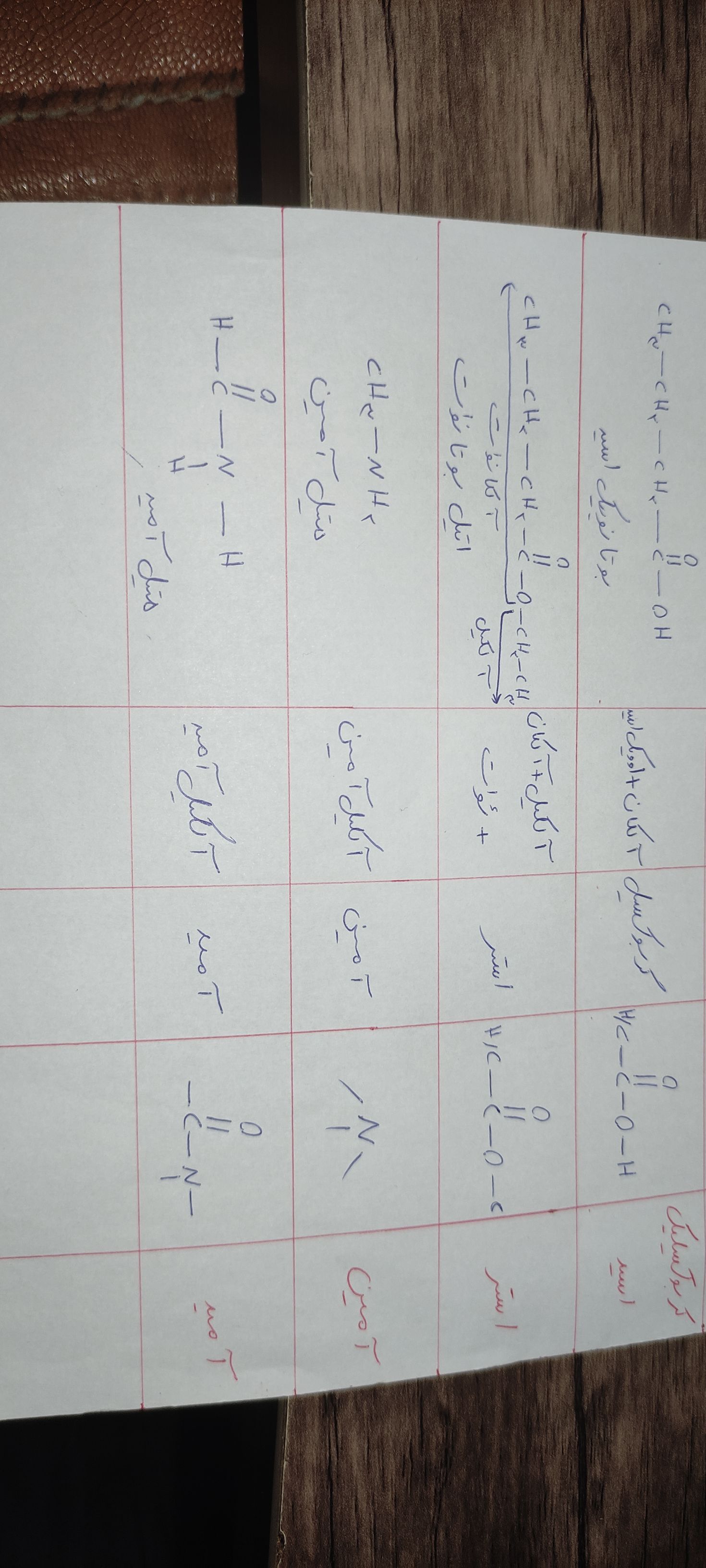 JPEG_۲۰۲۲۰۹۰۲_۱۴۵۶۲۶_4092126153549294619.jpg