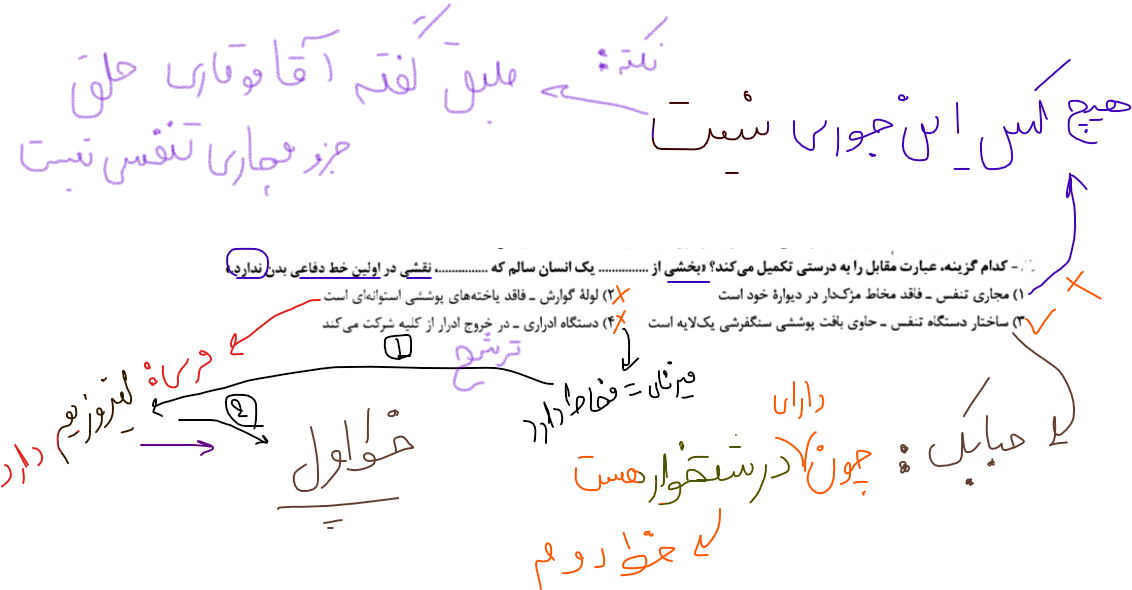 ff22b964-19ce-432b-b38f-d6141f3f2ccc-image.png