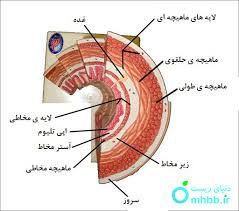 بارگیری (8).jpeg