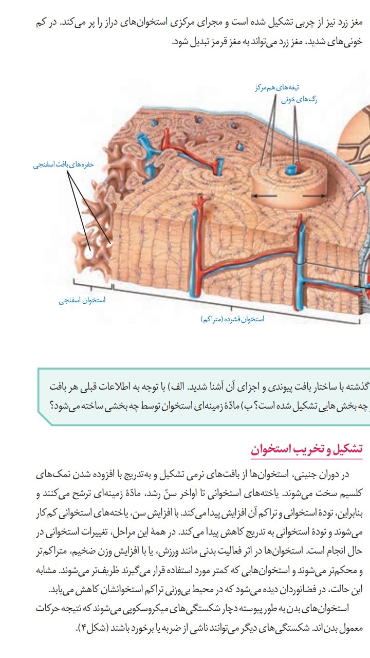 Screenshot_20230102-233109_Drive.jpg