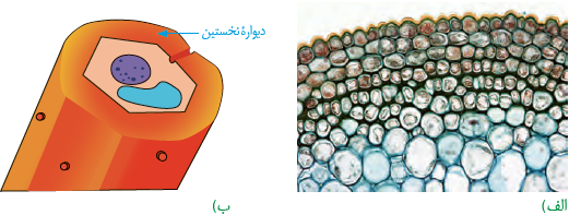 94_1.png