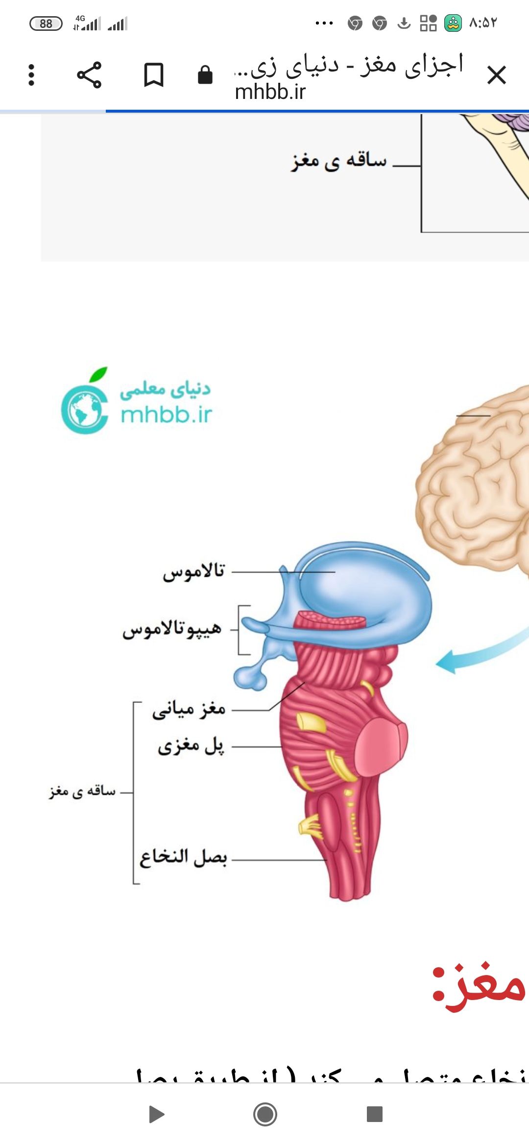 Screenshot_۲۰۲۳-۰۲-۰۳-۰۸-۵۲-۳۷-۹۹۷_com.android.chrome.jpg