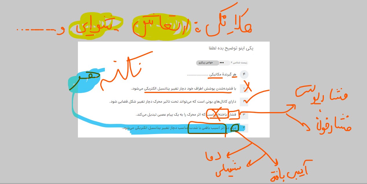 7de59742-35b1-443c-abe3-381bab1ec279-image.png