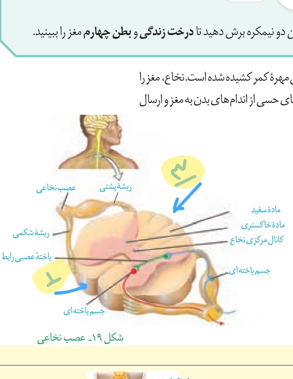 IMG_۲۰۲۳۰۲۱۸_۰۷۱۶۰۳.jpg