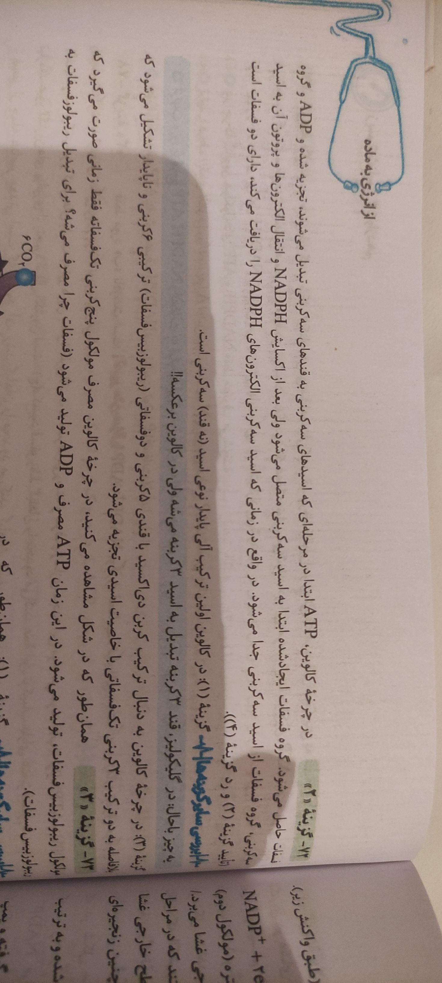 JPEG_۲۰۲۳۰۲۲۳_۱۳۲۱۴۹_2828670127975549233.jpg