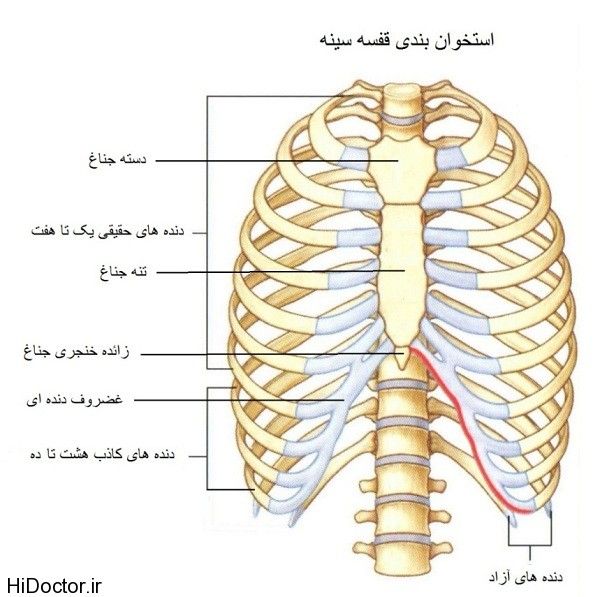 ostekhanbandie-ghafase-sine.jpg