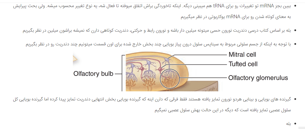 33e1e0c5-10a0-42bd-bc53-453159f4a77a-image.png
