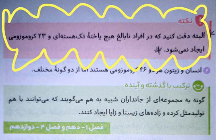 New Document(24)_2.jpg