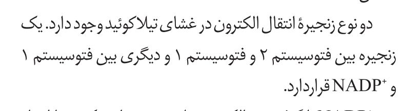 Screenshot_2023-03-07-22-25-37-517-edit_com.xodo.pdf.reader.jpg