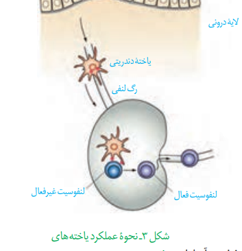 Screenshot (966).png