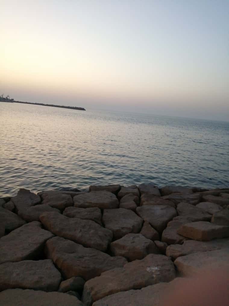 IMG-20230224-WA0002.jpeg