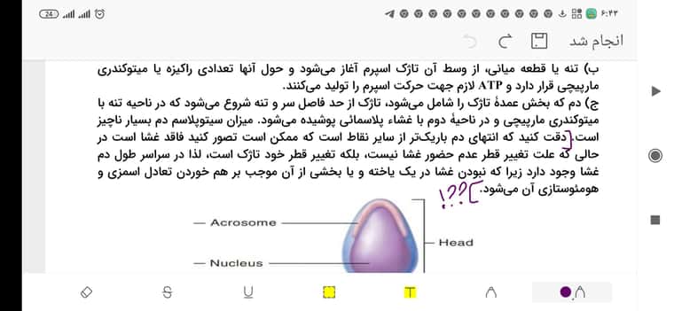 Screenshot_۲۰۲۳-۰۵-۰۳-۰۶-۴۳-۰۳-۰۶۴_cn.wps.moffice_eng.jpg