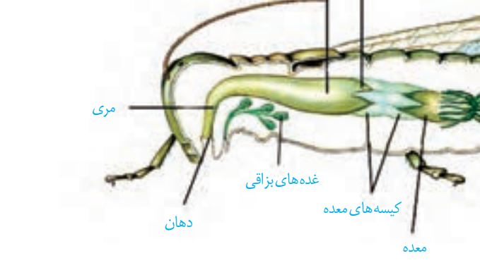 f6b786b1-75c1-4f81-8313-53997ed68013-image.png