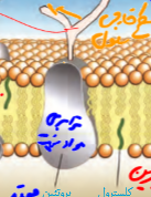 c5166b55-3c3c-47cc-a6e9-9b7c5acb78fe-image.png