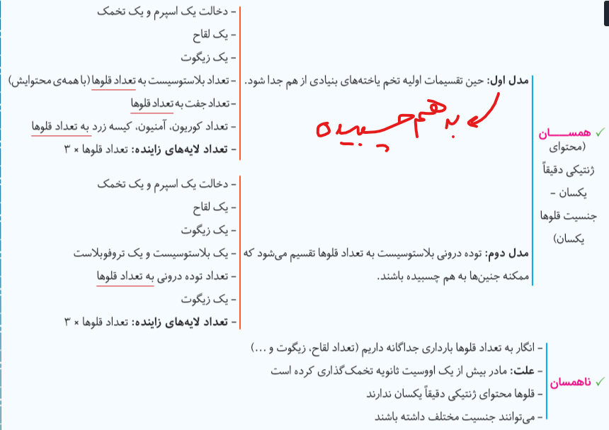 11279809-bed4-48e4-89ac-e8eeeeec34ba-image.png
