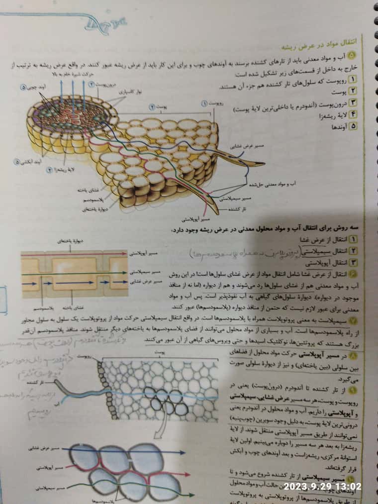 JPEG_۲۰۲۳۰۹۲۹_۱۳۰۲۲۰_5777409475067464709.jpg