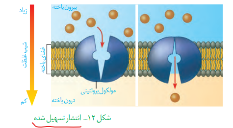 f3b3b5c0-8a00-4ad4-a973-24ba3c03fe2c-image.png