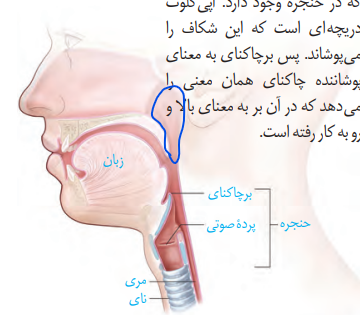0482b5fc-70e1-4267-9b6f-d89e29225b28-image.png