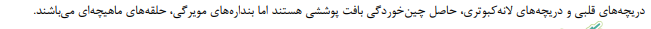 یبس.PNG