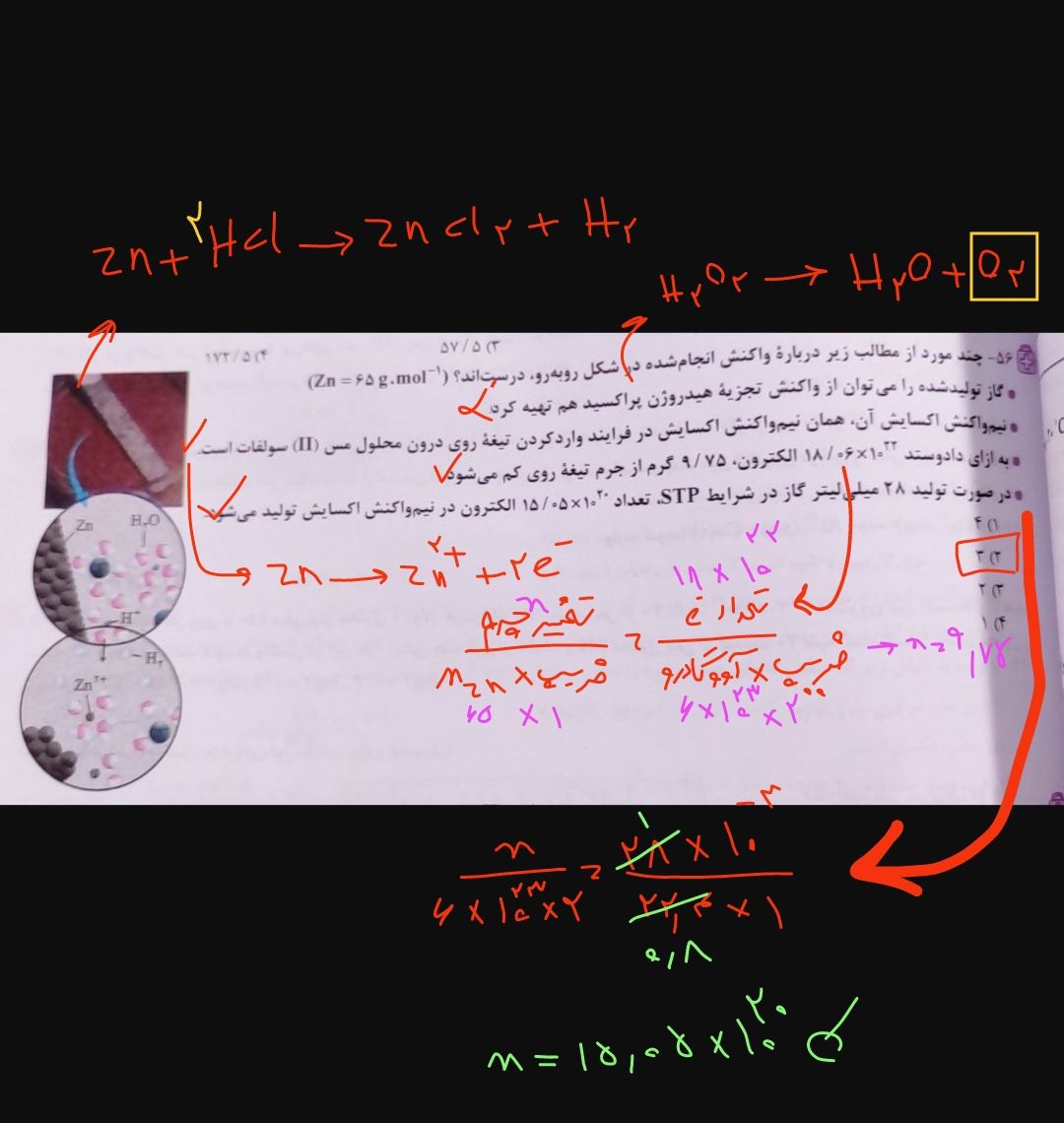 IMG_۲۰۲۳۱۱۲۳_۰۹۴۲۵۲.jpg