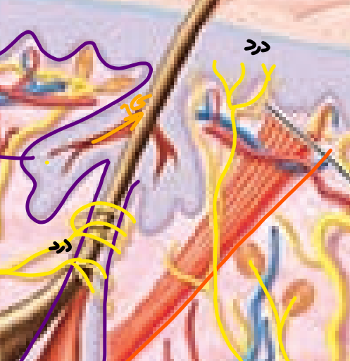a66a1cb2-91a3-453e-8f32-e916e2805670-image.png