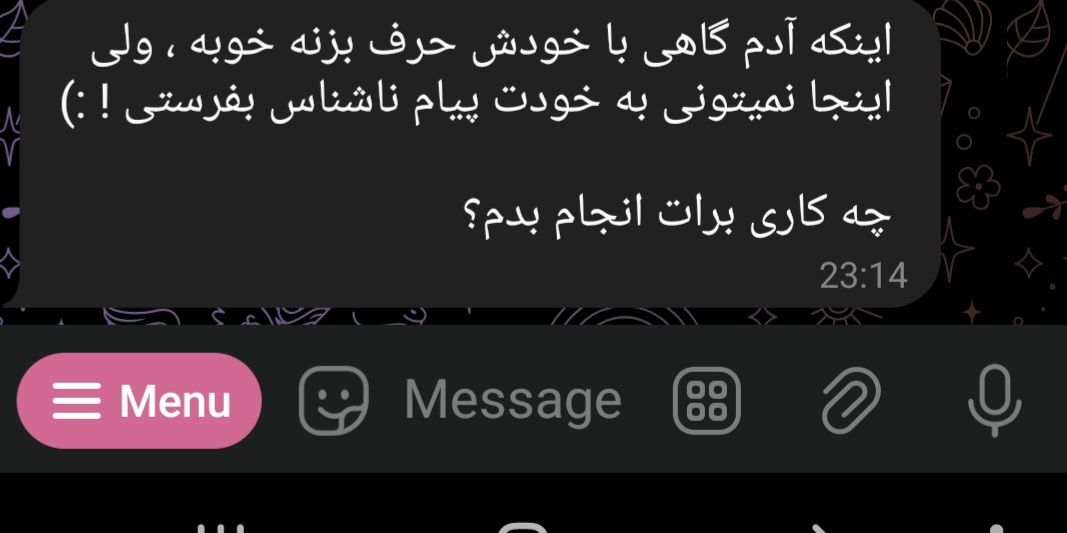 Screenshot_۲۰۲۳۱۲۱۹-۲۳۲۴۵۷_Telegram.jpg