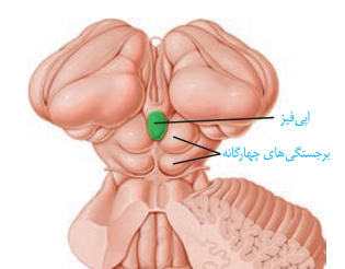db185aa5-c197-44c4-b35e-f1d45ca3c71c-image.png
