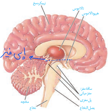 0a54de3d-2e50-4c6b-aa48-50b4e2f6a2c9-image.png